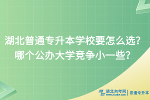 湖北普通專升本學(xué)校要怎么選？哪個公辦大學(xué)競爭小一些？