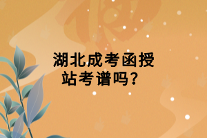 湖北成考函授站考譜嗎？