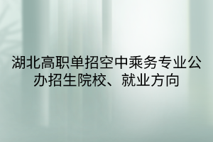 湖北高職單招空中乘務(wù)專(zhuān)業(yè)公辦招生院校、就業(yè)方向
