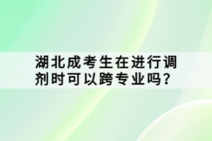 湖北成考生在進行調(diào)劑時可以跨專業(yè)嗎？