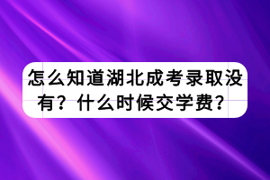 怎么知道湖北成考錄取沒有？什么時候交學費？