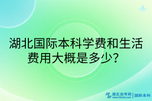 湖北國際本科學費和生活費用大概是多少？