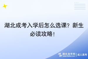 湖北成考入學(xué)后怎么選課？新生必讀攻略！