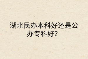 湖北民辦本科好還是公辦?？坪?？