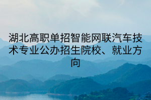湖北高職單招智能網聯(lián)汽車技術專業(yè)公辦招生院校、就業(yè)方向