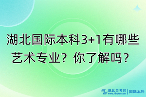 湖北國際本科3+1有哪些藝術(shù)專業(yè)？你了解嗎？