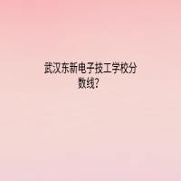 武漢東新電子技工學(xué)校分?jǐn)?shù)線？