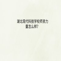 湖北現(xiàn)代科技學(xué)校師資力量怎么樣？