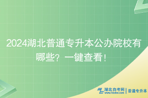 2024湖北普通專(zhuān)升本公辦院校有哪些？一鍵查看！