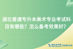 湖北普通專升本美術(shù)專業(yè)考試科目有哪些？怎么備考效果好？
