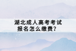 湖北成人高考考試報(bào)名怎么繳費(fèi)？