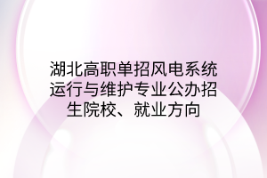 湖北高職單招風(fēng)電系統(tǒng)運行與維護(hù)專業(yè)公辦招生院校、就業(yè)方向