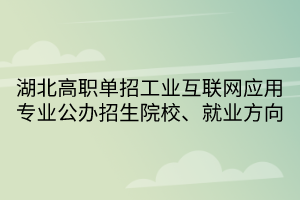 湖北高職單招工業(yè)互聯(lián)網(wǎng)應(yīng)用專業(yè)公辦招生院校、就業(yè)方向