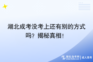 湖北成考沒考上還有別的方式嗎？揭秘真相！
