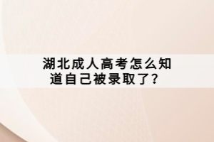 湖北成人高考怎么知道自己被錄取了？