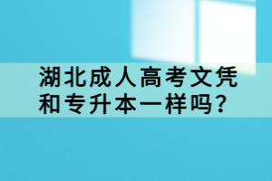 湖北成人高考文憑和專升本一樣嗎？