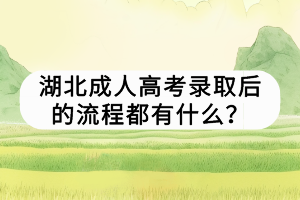 湖北成人高考錄取后的流程都有什么？