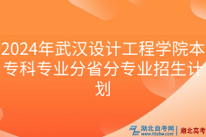 2024年武漢設(shè)計(jì)工程學(xué)院本?？茖I(yè)分省分專業(yè)招生計(jì)劃