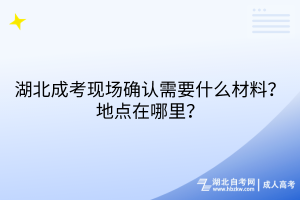 湖北成考現(xiàn)場確認(rèn)需要什么材料？地點在哪里？