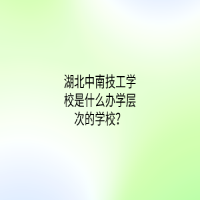 湖北中南技工學校是什么辦學層次的學校？