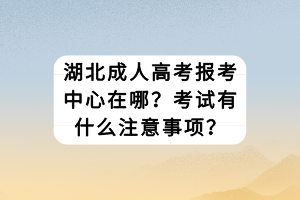 湖北成人高考報考中心在哪？考試有什么注意事項？