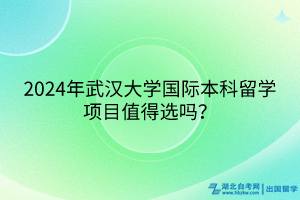 2024年武漢大學(xué)國(guó)際本科留學(xué)項(xiàng)目值得選嗎？