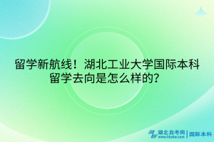 留學(xué)新航線！湖北工業(yè)大學(xué)國際本科留學(xué)去向是怎么樣的？