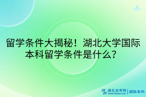 留學(xué)條件大揭秘！湖北大學(xué)國(guó)際本科留學(xué)條件是什么？