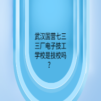 武漢國營七三三廠電子技工學(xué)校是技校嗎？