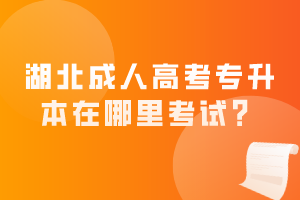 湖北成人高考專升本在哪里考試？