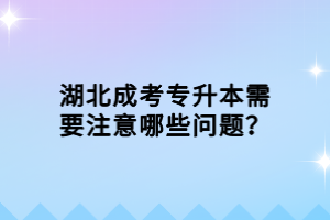 湖北成考專升本需要注意哪些問題？