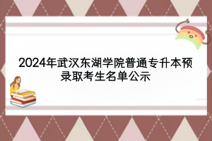 2024年武漢東湖學院普通專升本預錄取考生名單公示