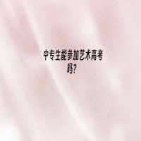 中專生能參加藝術(shù)高考嗎？