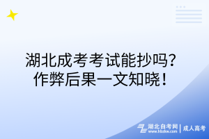湖北成考考試能抄嗎？作弊后果一文知曉！