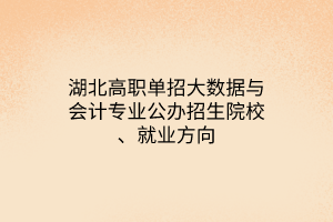 湖北高職單招大數(shù)據(jù)與會(huì)計(jì)專業(yè)公辦招生院校、就業(yè)方向
