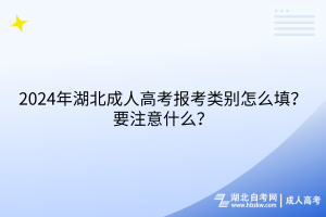 2024年湖北成人高考報(bào)考類別怎么填？要注意什么？