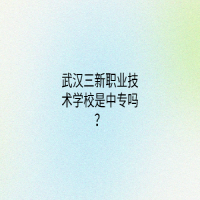 武漢三新職業(yè)技術(shù)學校是中專嗎？
