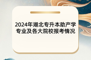 2024年湖北專(zhuān)升本助產(chǎn)學(xué)專(zhuān)業(yè)及院校報(bào)考情況