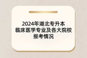 2024年湖北專(zhuān)升本臨床醫(yī)學(xué)專(zhuān)業(yè)及各大院校報(bào)考情況