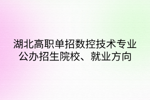湖北高職單招數(shù)控技術(shù)專業(yè)公辦招生院校、就業(yè)方向