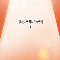 技校中?？梢陨髮?？
