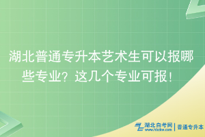 湖北普通專升本藝術(shù)生可以報哪些專業(yè)？這幾個專業(yè)可報！