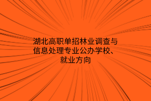 湖北高職單招林業(yè)調(diào)查與信息處理專業(yè)公辦學校、就業(yè)方向