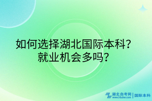 如何選擇湖北國際本科？就業(yè)機會多嗎？