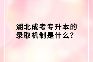 湖北成考專升本的錄取機(jī)制是什么？