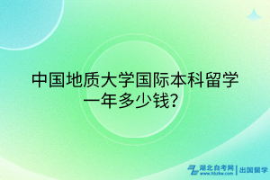 中國(guó)地質(zhì)大學(xué)國(guó)際本科留學(xué)一年多少錢(qián)？
