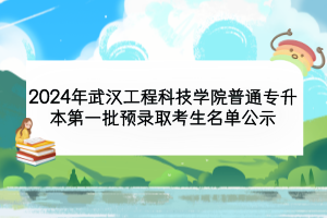 2024年武漢工程科技學院普通專升本第一批預錄取考生名單公示