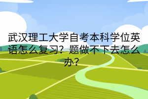 武漢理工大學(xué)自考本科學(xué)位英語(yǔ)怎么復(fù)習(xí)？題做不下去怎么辦？