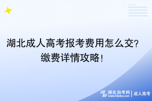 湖北成人高考報(bào)考費(fèi)用怎么交？繳費(fèi)詳情攻略！