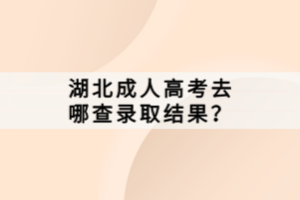 湖北成人高考去哪查錄取結(jié)果？